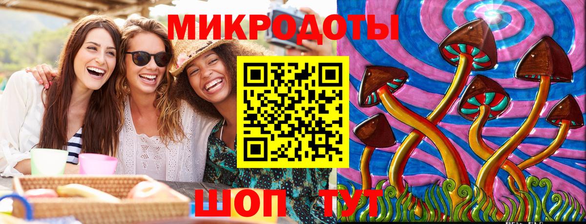 Псилоцибиновые грибы Psilocybe Орёл