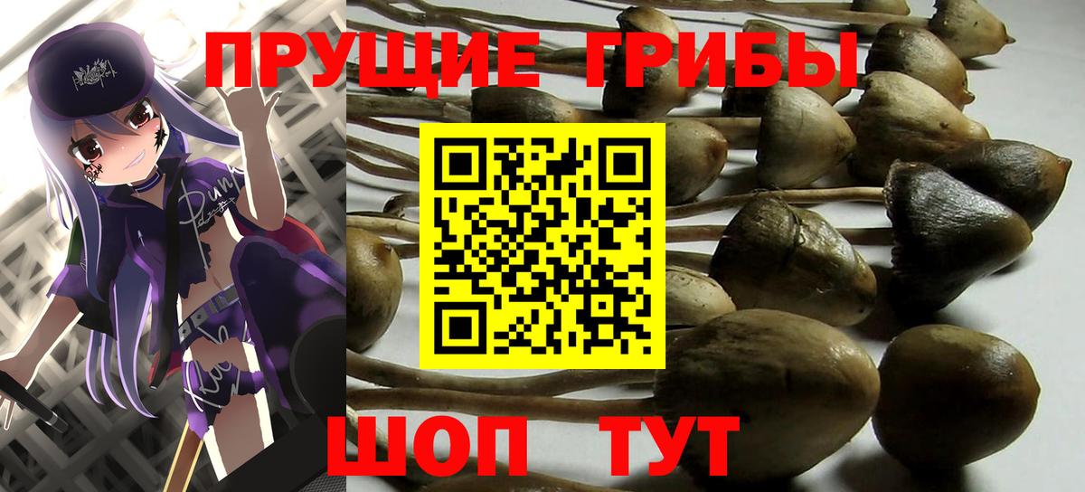 Галлюциногенные грибы MAGIC MUSHROOMS  Вход с VPN  Орёл 